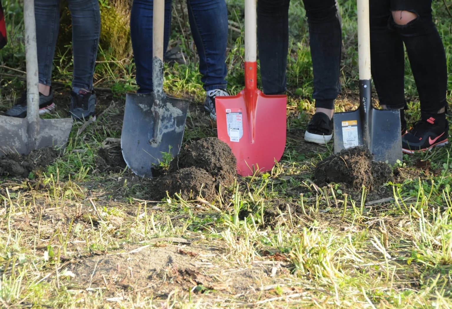 Un grup de voluntari cu lopeți, pregătiți pentru lucru în grădină