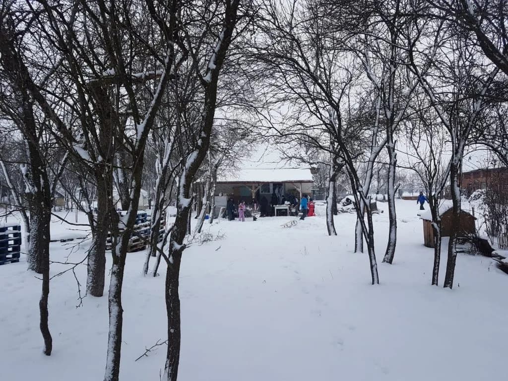 Fotografie din articolul „Săniuța fuge…”