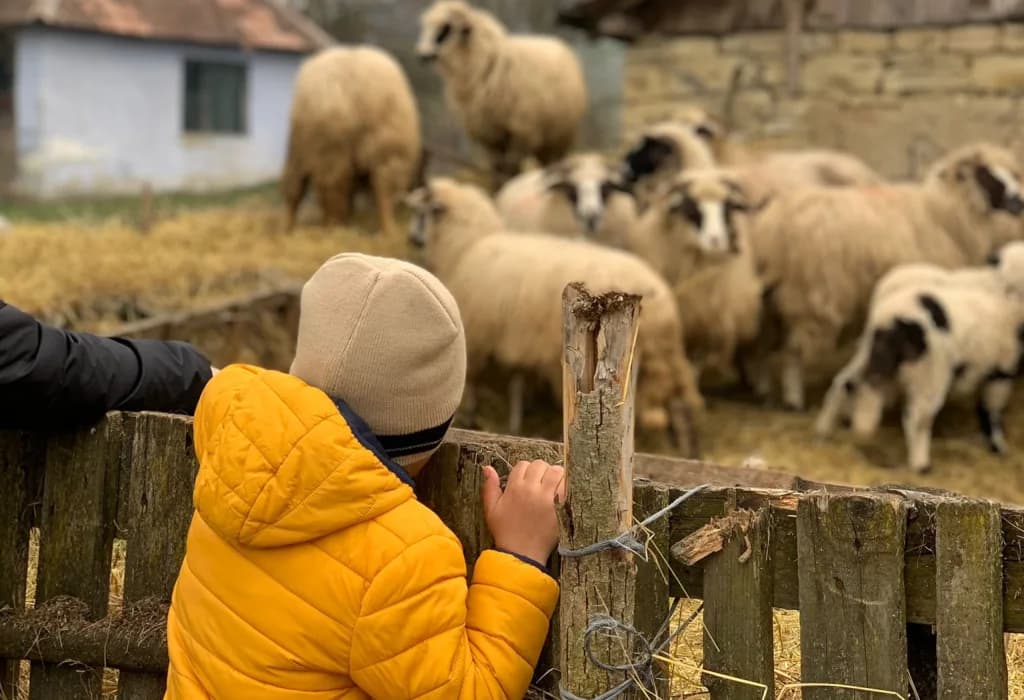 Fotografie din articolul „Oameni noi în lucruri noi”
